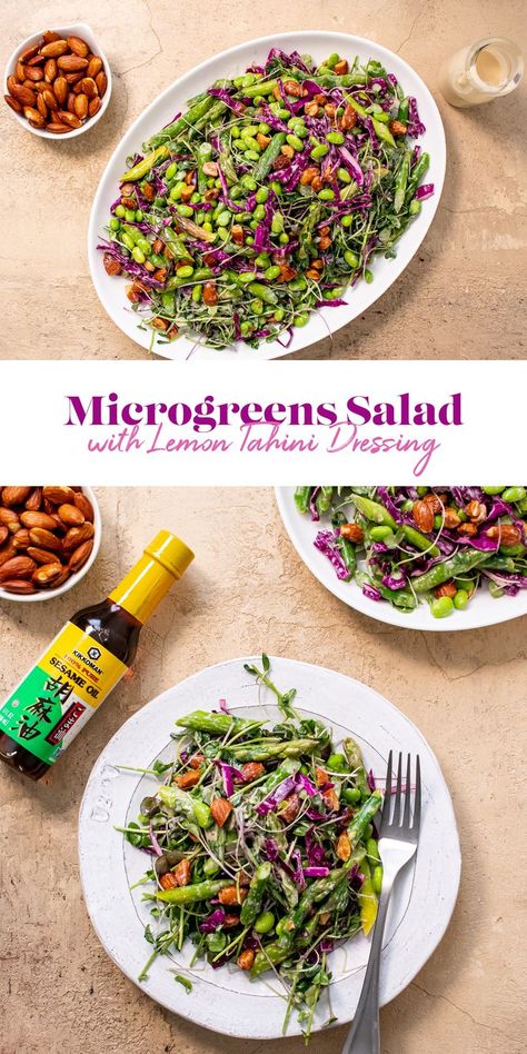 Microgreens Salad Recipe, Microgreens Salad, Microgreens Recipe, Oven Baked Fish, Chicken Oven, Unique Salad, Citrus Dressing, Salad With Lemon, Lemon Tahini Dressing