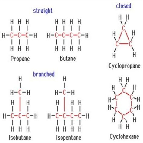 Carbon And Its Compounds, Reflexology Chart, Science Notes, Cartoon Girl Drawing, Class 10, Study Notes, Chemistry, Coloring Pages, Colouring Pages