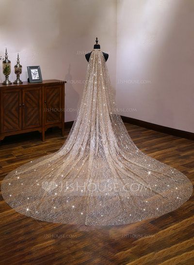 Sparkling Wedding Veils, Wedding Veil Styles, Ivory Bridal Veil, Cathedral Wedding Veil, Tulle Wedding Veil, Cathedral Bridal Veils, Long Veil Wedding, Cathedral Wedding Veils, Veil Styles