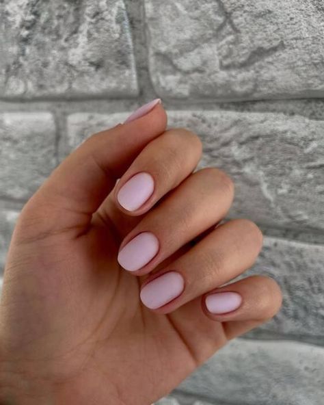 For those who lean towards subtlety in their style, this gentle lavender matte design offers an ideal option. Its matte texture adds a contemporary flair, and the soft lavender hue complements any summer ensemble, making it a versatile pick for daily wear. Short Nails Bright, Cute Summer Nails Short, Nails Delicate, Lavender Nail Polish, Lavender Shades, Nail Designs For Short Nails, Bright Pink Nails, Soft Pink Nails, Designs For Short Nails