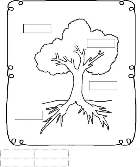 Parts Of A Tree Preschool, Parts Of A Tree Worksheet, Parts Of A Tree, Tree Worksheet, Plants Kindergarten, Family Tree Worksheet, Plants Worksheets, Cute Powerpoint Templates, Worksheet For Kindergarten