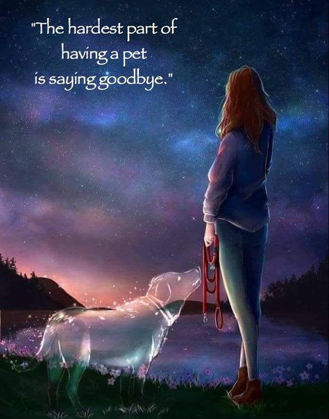 Dog Heaven Quotes, Miss My Dog, Dog Quotes Love, Heaven Quotes, Dog Heaven, Weimaraner, Cute Animal Photos, Disney Films, Animal Quotes