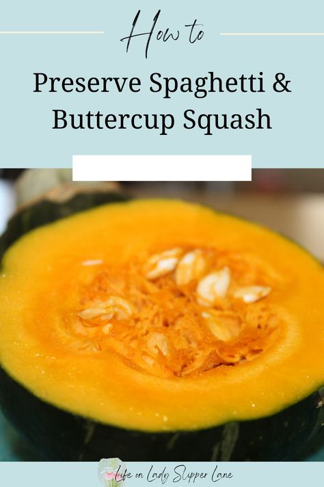 close up image of buttercup squash cut in half with bright orange center containing white seeds. Canning Buttercup Squash, Freezing Buttercup Squash, How To Cook Buttercup Squash, Baked Buttercup Squash, Preserving Squash, Preserve Squash, Freezing Spaghetti, Freeze Spaghetti Squash, Freeze Spaghetti