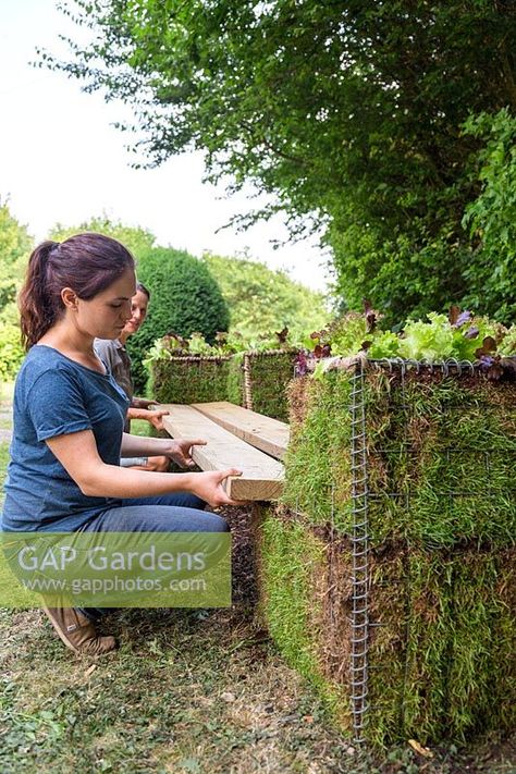 Women working together to place wooden planks between two gabion baskets to create bench Gabion Bench, Women Working Together, Gabion Fence, Labyrinth Design, Gabion Baskets, Gabion Wall, Fencing Ideas, Green Ideas, Women Working