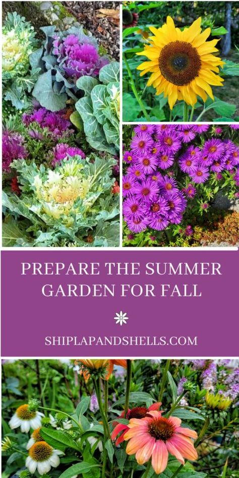 What Flowers To Plant In The Fall, Fall Planting For Spring Harvest, Fall/winter Gardening, Planting Wildflower Seeds In Fall, Fall Prep For Spring Garden, Food Landscaping, Preparing Garden In Fall, Fall Flowers Garden, Fall Landscaping