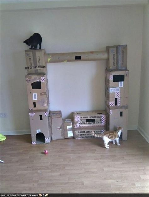 <b>All you need is cardboard, a utility knife, and a way to draw your cat away from the cardboard that you'll transform into an architectural masterpiece.</b> Katt Diy, Diy Chat, Katt Grejer, Chat Diy, Cardboard Cat House, Carton Diy, Cat Castle, Cardboard Cat, Cat Gym