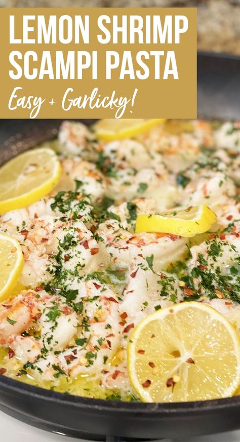 Lemon Shrimp Scampi, Shrimp Scampi With Pasta, Shrimp Scampi Pasta Recipes, Garlic Shrimp Scampi, Lemon Shrimp Pasta, Lemon Pasta Recipes, Shrimp Scampi Pasta, Easy Shrimp Scampi, Scampi Pasta