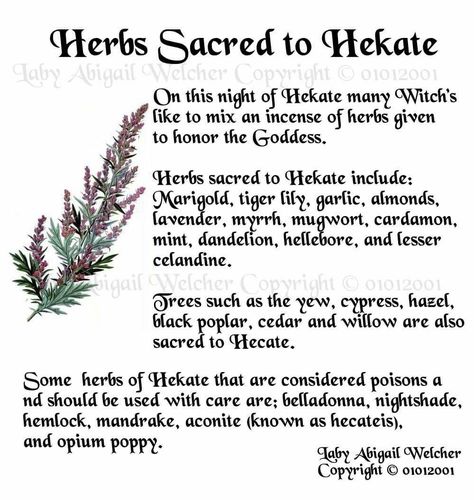 Herbs For Hecate, Herbs Associated With Hecate, Herbs For Hekate, Herbs For Lilith, Hekate Herbs, Hecate Moodboard, Hecate Herbs, Mother Hecate, Mother Hekate