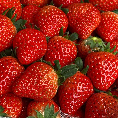 Strawberries Aesthetic, Strawberry Background, Strawberry And Cream, Disney Fun Facts, Fruit Wallpaper, Diet Culture, Strawberry Fields, Fruit And Veg, Red Aesthetic