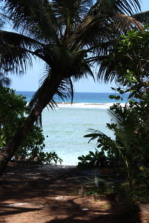 Ritidian Beach, National Wildlife Refuge, Guam 2-10-2013 Island Aesthetic Guam, Aesthetic Guam, Guam Island, Guam Travel, Island Aesthetic, Tropical Countries, Oceania Travel, American Samoa, Northern Mariana Islands