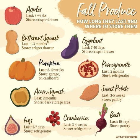 How To Store Eggplant, Fresh Pumpkin Recipes, Cozy Clothing, Fall Produce, Pomegranate Recipes, Acorn Squash Recipes, Fruit List, Seasonal Fruits, Fun Outdoor Activities