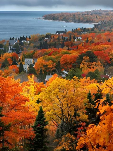 Mackinac Island Fall, Mackinaw Island, Autumn Phone Wallpaper, Mackinac Island Michigan, Michigan Travel, Quaint Village, Mackinac Island, Autumn Scenery, Mountain Man