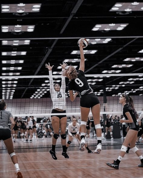 Volley Ball Aesthetic Girl, Vball Pics Aesthetic, Volleyball Practice Aesthetic, Volleyball Pics, Volleyball Images, Volleyball Team Pictures, Volleyball Motivation, Professional Volleyball, Volleyball Photography