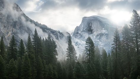 Yosemite Wallpaper, Wallpaper Macbook, Forest Mural, Foggy Mountains, Park Forest, Forest Wall Mural, Foggy Forest, Forest Mountain, Mountain Wallpaper