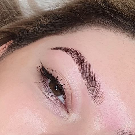 Laminated Brows, Subliminal Results, Eyebrow Lamination, Types Of Eyebrows, Straight Eyebrows, Straight Brows, Bushy Eyebrows, Full Eyebrows, Arch Brows