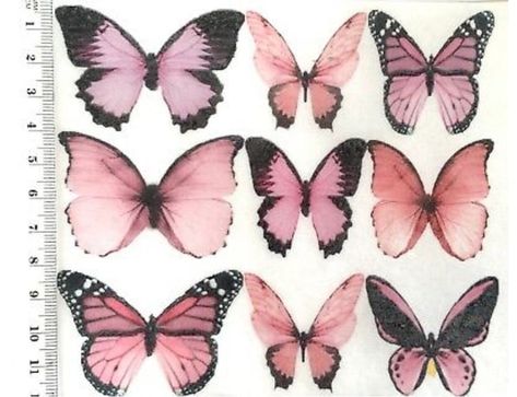 Pink Inspiration, Memento Mori, A Group, Pink Aesthetic, Wall Collage, Pretty In Pink, Aesthetic Pictures, Bugs, Wall Prints