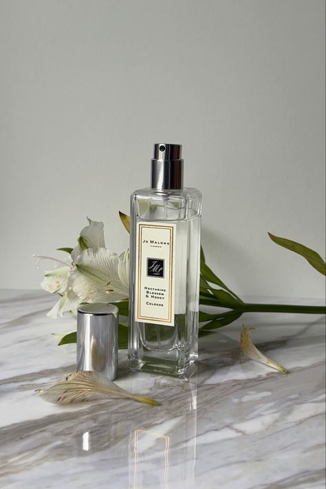 Orange blossom scent from Jo Malone scent notes: fruity, floral, fresh #ugc #perfume #jomalone #eaudeparfum #ugcphotoexamples #ugcexamples Jo Malone Gardenia And Oud, Jo Malone Myrrh And Tonka Perfume, Orange Blossom Jo Malone, Jo Malone Perfume Orange Blossom, Jo Malone Oud And Bergamot, Jo Malone Perfume, Jo Malone, Nectarine, Orange Blossom