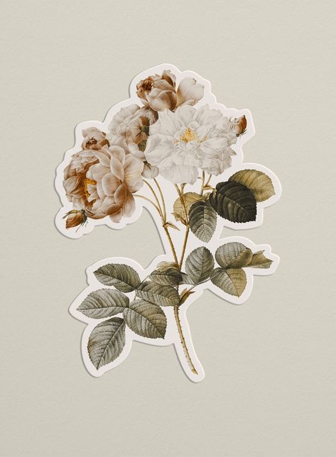 Flores Aesthetic Vintage, Cutouts For Scrapbook, Flower Aesthetic Vintage, Single Stickers Aesthetic, Vintage Stickers For Journal, Flowers Aesthetic Vintage, Flower Vintage Aesthetic, Aesthetic Flower Pics, Cute Vintage Stickers