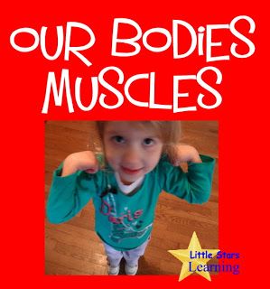 Health And Nutrition Preschool, Preschool Body Theme, Kindergarten Health, Nutrition Preschool, April Lesson Plans, Human Body Unit Study, Muscle System, Montessori Curriculum, Books Clipart