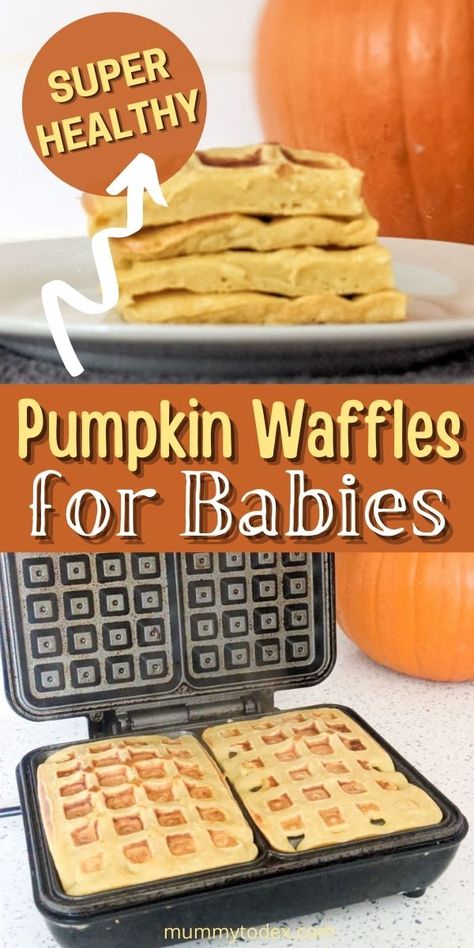 Try out this yummy, scrummy pumpkin waffles for babies. These waffles don’t even taste like they’ve got a super healthy veggie in them, which is fab for my four year old who was determined that his waffles would just be ‘normal’ ones. Healthy Toddler Waffle Recipe, Banana Pumpkin Waffles, Waffle Recipe For Toddler, Banana Waffles For Baby, Waffle Recipe For Baby, Pumpkin Waffles For Baby, Veggie Waffles Kids, Pumpkin Puree Recipes For Baby, Baby Waffles Recipe