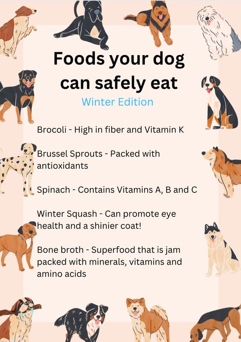 Sharing what foods you can safely share with your dogs. #dogs #pet #food #health #cat #green #treat #health #orange #blue #yellow #fruit #vegetables #hydration #water #raw #winter Hydration Water, Dog Breath, Sources Of Vitamin A, Dog Health Tips, Yellow Fruit, Food Topper, Dog Brain, Healthy Dog Food Recipes, Fruit Vegetables