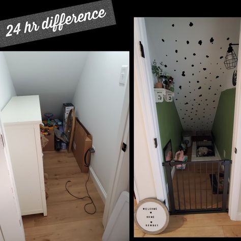 A under the steps closet turned into a dog bedroom! Dog Room Closet, Dog Bedroom Under Stairs, Dog Room Design, Dog Closet, Dog Space, Dog Room Decor, Dog Den, Dog Bedroom, Dog Spaces