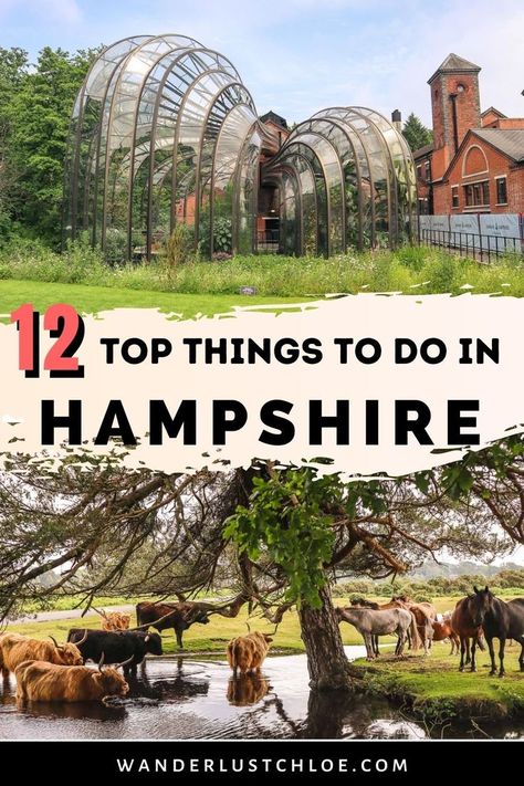 With buzzing cities, a sweeping coastline and serene countryside, there are plenty of great things to do in Hampshire. Find out about visiting the Bombay Sapphire gin distillery for a tour - one of the most popular things to do in Hampshire. Plus, if you love adventures, learn about where to go hiking, paddleboarding and more in this guide to one England's southern counties. #UKTravel #Hampshire #VisitEngland Bombay Sapphire Gin, London England Travel, Popular Things, Gin Distillery, Hampshire England, Hampshire Uk, Bombay Sapphire, Visiting England, Go Hiking