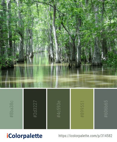 Color Palette Ideas from Swamp Water Bayou Image Bayou Aesthetic Decor, Swamp Room Aesthetic, Swamp Colour Palette, Swamp Themed Bedroom, Bayou Color Palette, Seaweed Color Palette, Swamp Color Palette, Swamp Nails, Color Palette Water