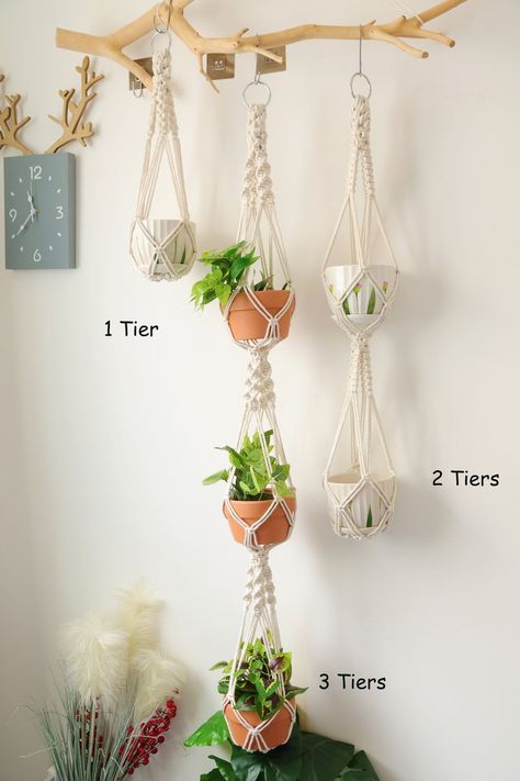 No Tassel Plant Hanger, Macrame Plant/pot Holder No Tail for Indoor Gardensingle/double/triple, Boho Wall Hanging Home Decor - Etsy Macrame Plant Pot, Plant Holder Diy, Plant Pot Holder, Plant Hanger Macrame, Diy Designs, Plant Pot Holders, Pot Hanger, Macrame Hanger, Hanging Home Decor