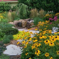 Mid-Atlantic Native Plants Inexpensive Landscaping, Colorful Flower Beds, Cheap Landscaping Ideas, Landscaping Tips, Black Eyed Susan, Autumn Landscape, Landscape Projects, Contemporary Landscape, Autumn Garden