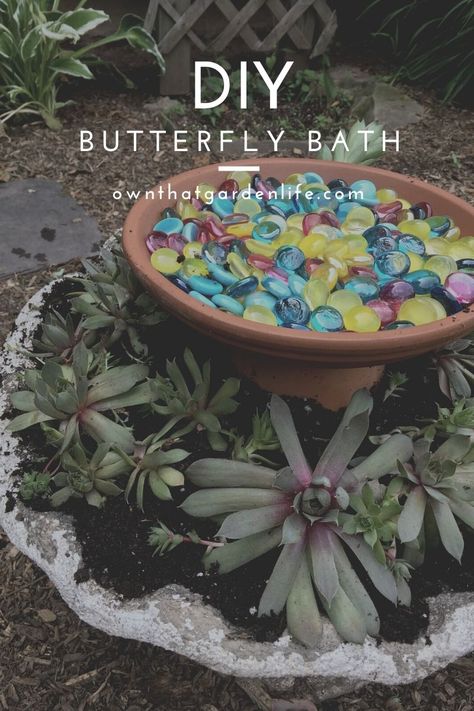 try this creative way to make a butterfly bath to add to your garden! it'll help the butterflies and other pollinators too! Butterfly Bath, Butterfly Food, Butterfly Feeders, Butterfly Garden Plants, Butterfly Garden Design, Butterfly Habitat, Butterfly Houses, Garden Insects, Hummingbird Garden