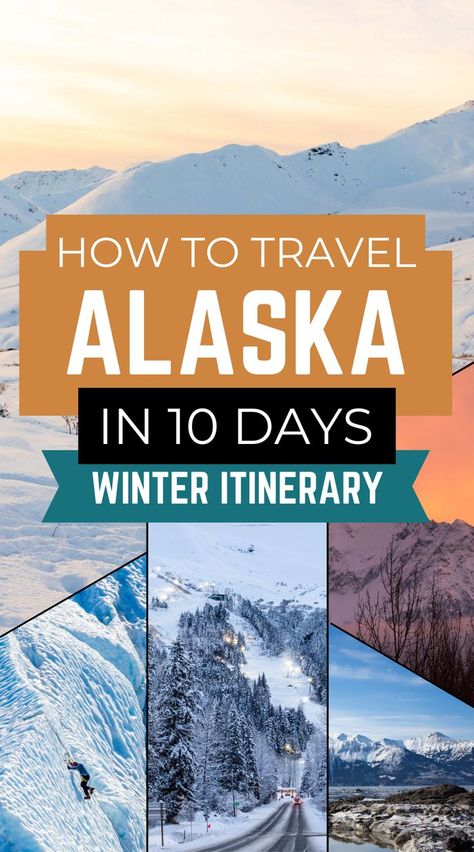 alaska winter itinerary Winter Bucket Lists, Alaska In Winter, Alaska Itinerary, Alaska Day, Alaska Road Trip, Trip To Alaska, Alaska Winter, Travel Alaska, Alaska Wildlife