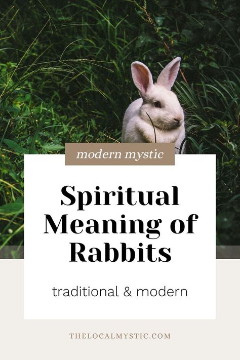 Today we’ll discuss the deep spiritual meaning of the rabbit in various cultures and traditions, including ancient mythology and modern spiritual practices. Plus, we’ll learn a few rituals for honoring the magic of the rabbit during spring. rabbit for magic, spiritual meaning of rabbit, rabbit spirit animal meaning, spiritual significance of rabbit, rabbit symbolism, seeing a rabbit meaning Celtic Hare Meaning, Bunny Spirit Animal Meaning, Bunny Spirit Animal, Rabbit Spirit Animal Meaning, Bunny Symbolism, Rabbit Spiritual Meaning, Rabbit Familiar, Rabbit Meaning, Ethereal Animals