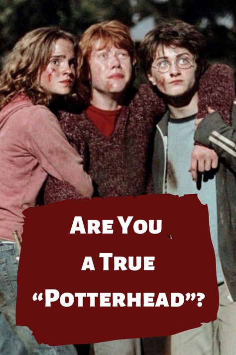 Harry Potter Quiz Buzzfeed, Harry Potter Character Quiz, Harry Potter Trivia, Quiz Harry Potter, Harry Potter Trivia Quiz, Pottermore Quiz, Harry Potter Test, Bff Quizes, The Golden Trio