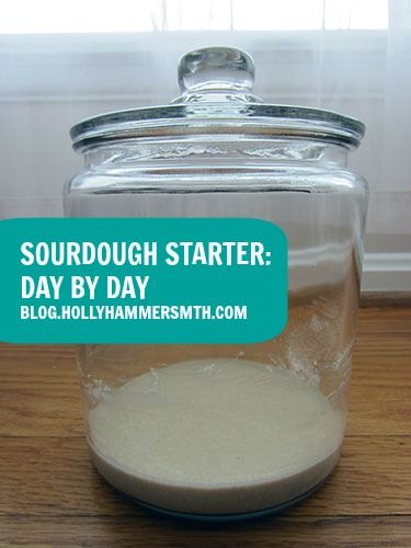 Sourdough Starter - shows day-by-day photos of what the starter should look like.  Great for beginning bread bakers! Weekly Savings, Sourdough Bread Starter, Dough Starter, Friendship Bread, Bread Starter, Sourdough Starter Recipe, Recipes Baking, Biscuit Rolls, American Recipes