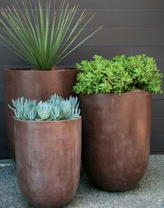 Mid Century Modern! Trio of gorgeous tall modern contemporary indoor or outdoor garden planters or pots! Wonderful on pea gravel, patios, terrace or veranda! Outdoor Garden Planters, Low Maintenance Garden, Outdoor Pots, Design Exterior, Garden Fence, Outdoor Planters, Succulents Garden, Front Garden, Modern Garden