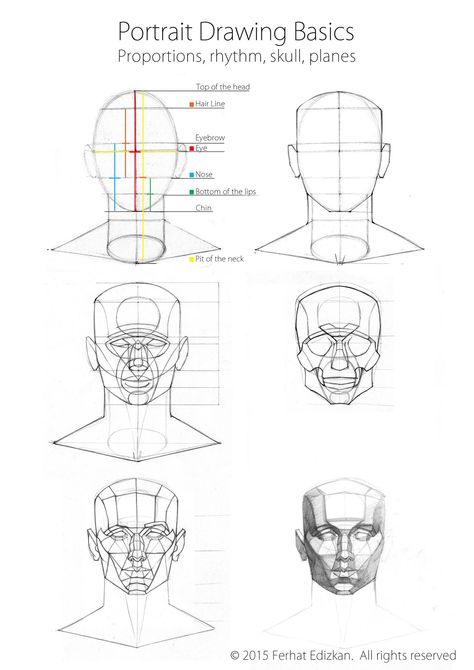 Taken from Ferhat Edizkan Art Anatomy Head, 3d Drawing Techniques, Head Construction, Portrait Drawing Tips, Drawing The Human Head, Head Reference, Human Anatomy For Artists, Draw Faces, Art Pins