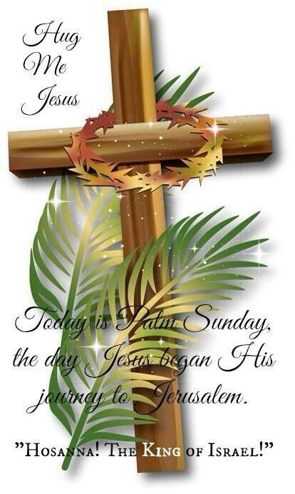 Palm Sunday quotes #quotes #easterquotes #palmsunday #jesus Palm Sunday Background, Palm Sunday Quotes, Sunday Gif, Sunday Song, Happy Palm Sunday, Palm Sunday Crafts, Sunday Prayer, Sunday Activities, Sunday Pictures