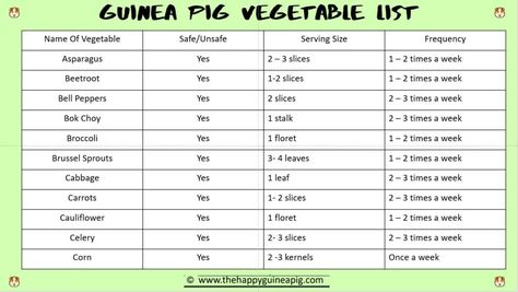 What Vegetables Can Guinea Pigs Eat? The Ultimate Guide! - The Happy Guinea Pig Name Of Vegetables, Vegetable Chart, Guinea Pig Diet, Pigs Eating, Green Lettuce, List Of Vegetables, Diet Chart, White Potatoes, Pet Guinea Pigs