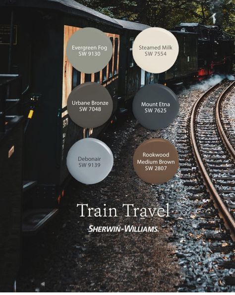 Sherwin Williams Train Travel, Dark Moody Color Scheme, Nightwatch Sherwin Williams, Wall And Ceiling Same Color, Harry Potter Color Palette, Home Decor Color Palettes, Paint Color Inspiration, House Color Palettes, Paint Color Schemes