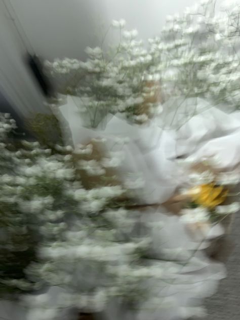 #aesthetic #blurry #flowers Blurry Flowers, Blur, Flowers, White