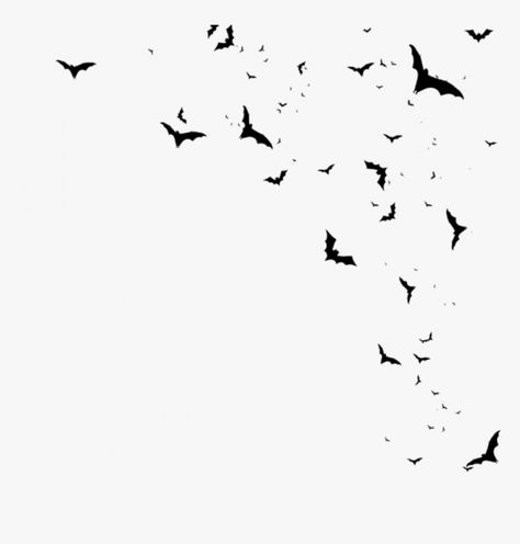 Bats White Background, Bats Flying Silhouette, Bats Flying Drawing, Bats Flying Tattoo, Bat Overlay, Bats Aesthetic, Bats Clipart, Bats Drawing, Bats Silhouette