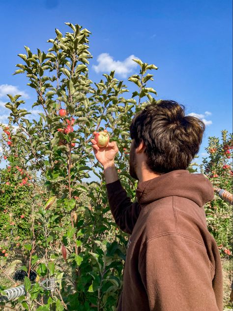 #appleorchard #apple #fall #date #photography #photooftheday #photoshoot Apple Picking Photoshoot, Guy Photoshoot, Date Photography, Book Aesthetics, Apple Orchard, Apple Picking, Apples, Brain, Twist