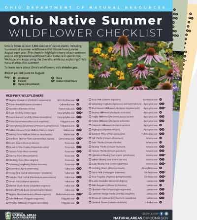 Summer Wildflower Checklist Ohio Flowers, Grassland Habitat, Kelleys Island, Types Of Fish, Nature Preserve, Photography Contests, Color Activities, Natural Resources, Wildlife Photography