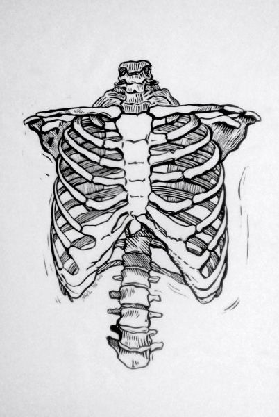 Ribcage, 2013, linocut, edition of 6 // 60cm x 80cm Skull Tattoos For Men, Skeleton Drawings, Human Skeleton, Human Anatomy Art, Anatomy Sketches, Skeleton Art, Skull Drawing, Anatomy Drawing, Skull Tattoos