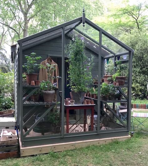 Small Glass Greenhouse, Small Garden Greenhouse, Victory Gardens, Shed Makeover, How To Make Compost, Backyard Garden Layout, Greenhouse Shed, Greenhouse Ideas, Victory Garden