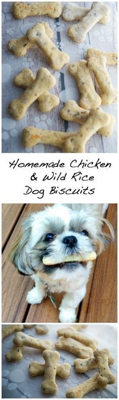 Homemade Chicken & Wild Rice Dog Biscuits #dog #diy #treats #rice Homemade Dog Biscuits, Homemade Pet Treats, Chicken Wild Rice, Dog Biscuits Homemade, Dog Biscuit Recipes, Easy Dog Treats, Healthy Dog Treats Homemade, Chicken Treats, Golden Retriever Mix