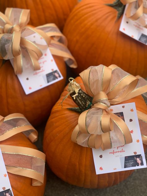 Pumpkin Pop Bys Real Estate, Fall Marketing Gifts, Fall Real Estate Pop By Ideas, Door Knocking Ideas For Realtors, Thanksgiving Pop Bys Real Estate, Fall Pop Bys Real Estate, Pop Bys Real Estate, Work Appreciation, Real Estate Marketing Gifts