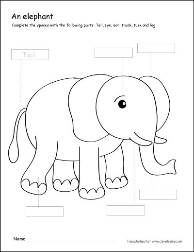 Parts of an elephant first grade writing and coloring sheet. http://cleverlearner.com/color-the-parts/parts-of-an-elephant.html #kindergarten #firstgrade #1stgrade Elephant Day Activities, Elephant Lesson Plan Preschool, Build An Elephant Printable, Elephant Worksheet, Elephants For Kids, Jungle Camp, Zoo Animals Preschool, Elmer The Elephants, All About Elephants