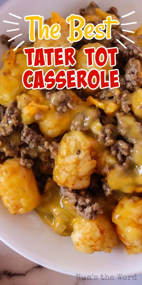 Best Tater Tot Casserole, Cheesy Tater Tot Casserole, Easiest Dinner, Hotdish Recipes, Tater Tot Casserole Recipes, Ground Beef Casserole Recipes, Beef Ground, Fast Dinner Recipes, Tot Casserole